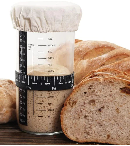 24oz Fermentation Glass Jar with Lid and Thermometer